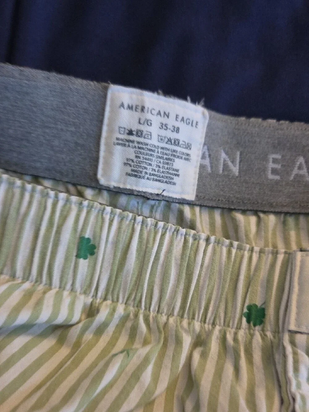 American Eagle Outfitters Light Green Gingham Shorts with Clover Print